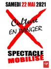 Culture en Danger {JPEG}